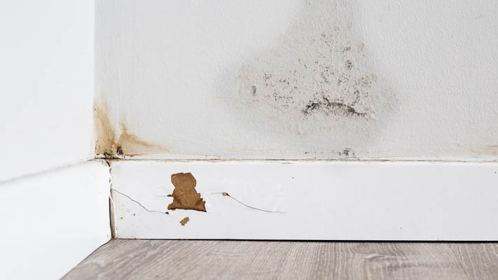 Water Damage From a Pipe Lead A Tulsa home with water-damaged walls from old polybutylene pipe
